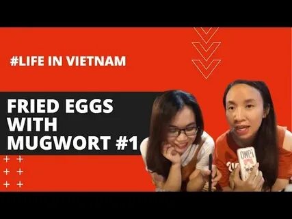 Chính sách đại lý của Hotspot Matrix: Cơ hội hợp tác bền vững trong ngành video ngắn_video kể về tín hiệu